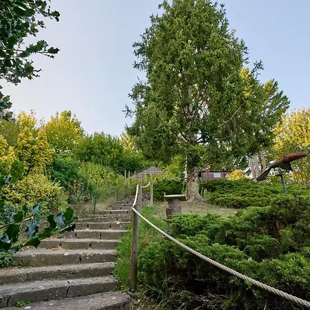 Le Haut Bois - A 5Min Du Zoo Et Centre-Ville Saint-Aignan  Extérieur photo